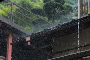 大雨の写真