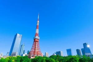 新緑の芝公園と東京タワーの写真