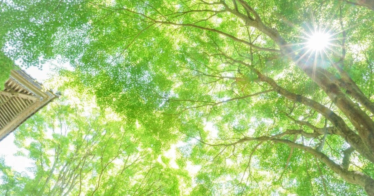 各地で気温上昇 週末は25℃前後の暑さも エアコン準備を