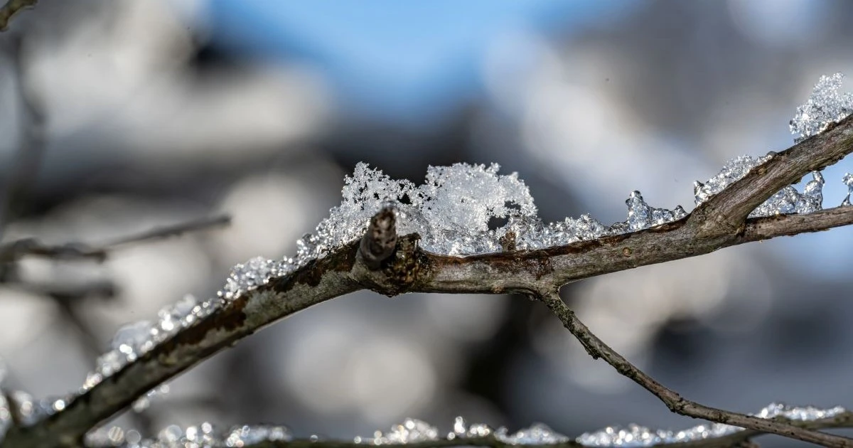 8日以降は寒気南下　雪や凍結に注意が必要な天気