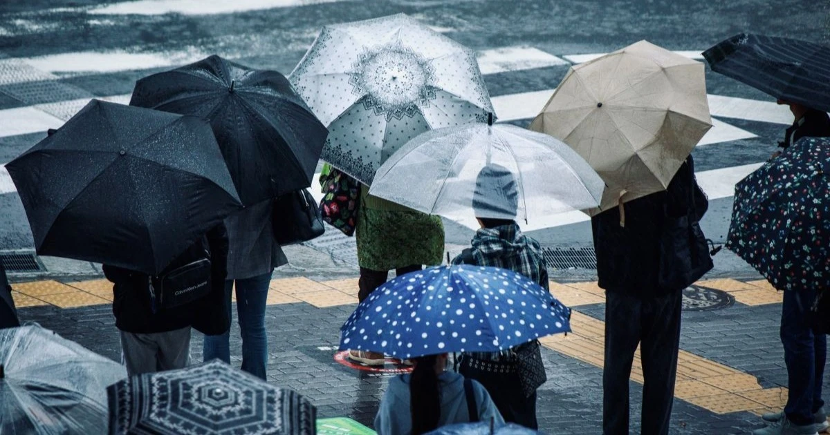 週末は西日本・東日本で雨予想　日曜は広い範囲で傘が必要に