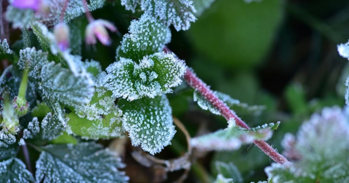 週末にかけ寒気の影響強まる見通し 朝晩は路面凍結や水道管凍結に注意