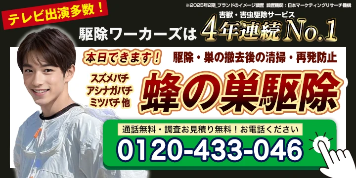 ハチ駆除ワーカーズ