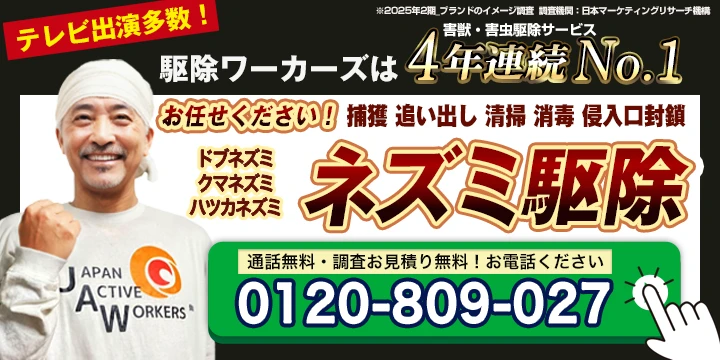 ネズミ駆除ワーカーズ