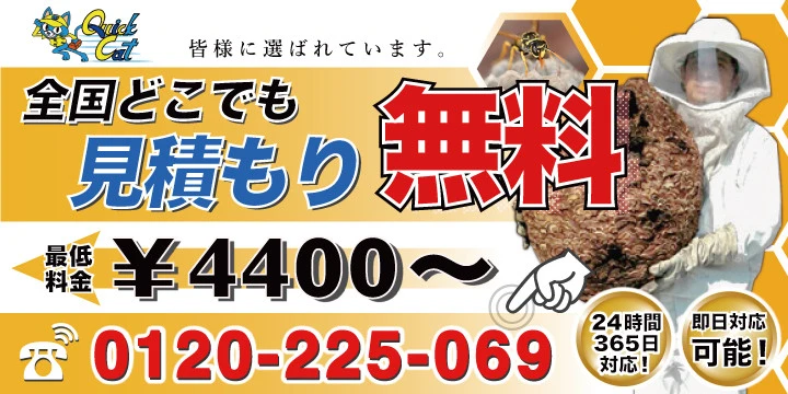 クイックキャット