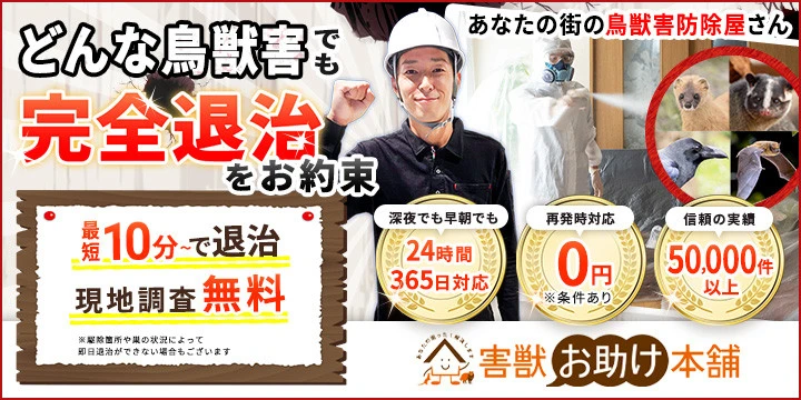 鳥獣害お助け本舗