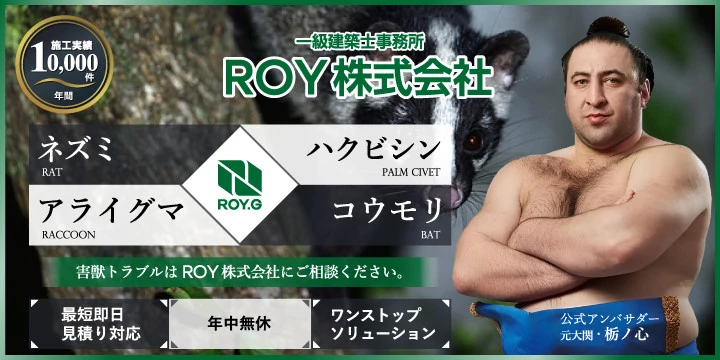 ねずみ駆除のROY株式会社