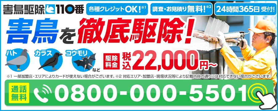 害鳥駆除110番