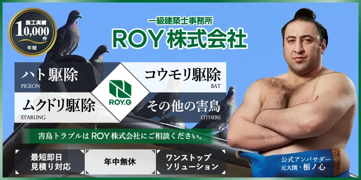 コウモリ駆除のROY株式会社