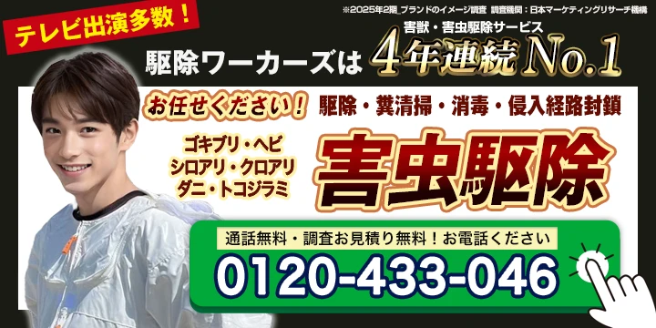 害虫駆除ワーカーズ