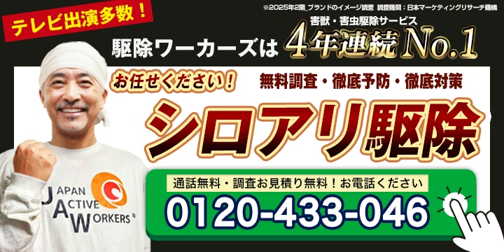 シロアリ駆除ワーカーズ