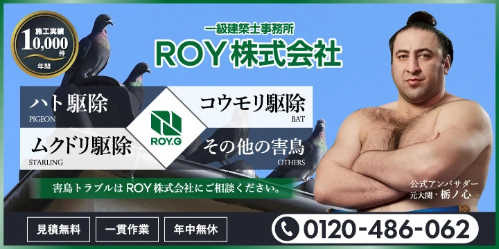 害鳥のROY株式会社