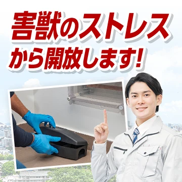 株式会社RSXのイメージ画像