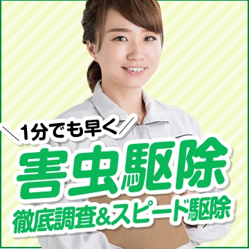 株式会社Solのイメージ画像