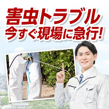 株式会社RSXのイメージ画像