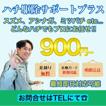 ハチ駆除サポートプラスのイメージ画像