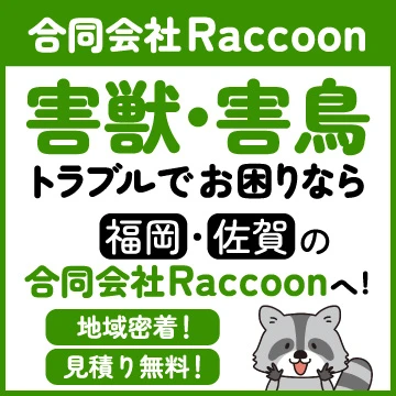 合同会社Raccoonのイメージ画像