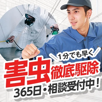 watch outのイメージ画像