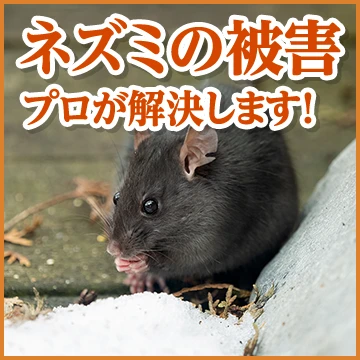 株式会社LRのイメージ画像