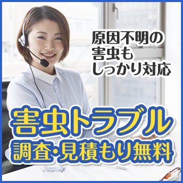 株式会社Raiseのイメージ画像