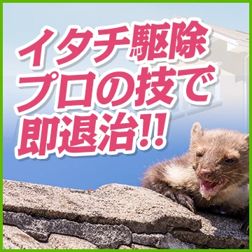 Rレスキューのイメージ画像