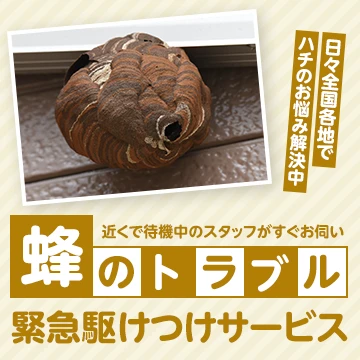 株式会社LEAPのイメージ画像
