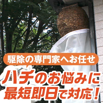 株式会社パキラのイメージ画像