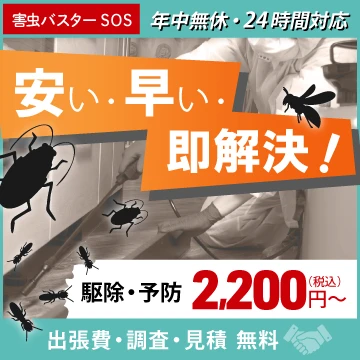 害虫バスターSOSのイメージ画像