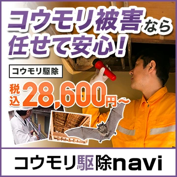 コウモリ駆除naviのイメージ画像