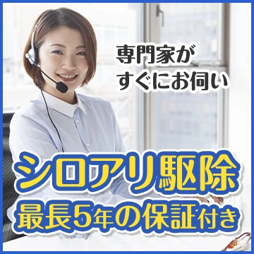株式会社Raiseのイメージ画像