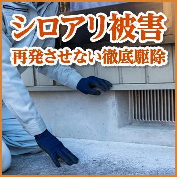 株式会社LRのイメージ画像