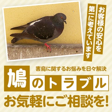 株式会社LEAPのイメージ画像