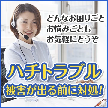 株式会社Raiseのイメージ画像