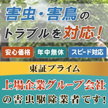 サポート99のイメージ画像