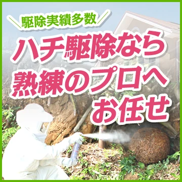 Rレスキューのイメージ画像