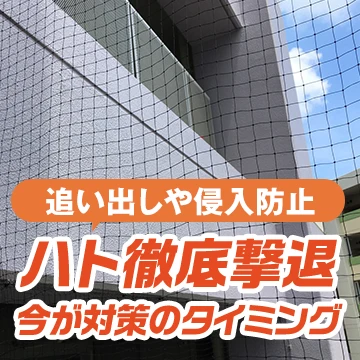 株式会社パキラのイメージ画像