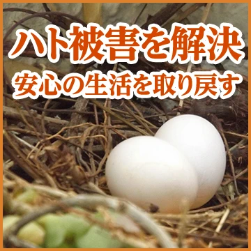 株式会社LRのイメージ画像