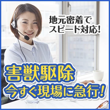 株式会社Raiseのイメージ画像