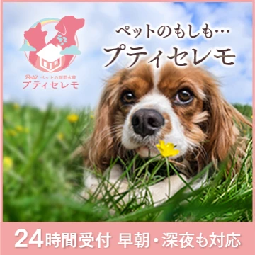 訪問ペット火葬 プティセレモのイメージ画像