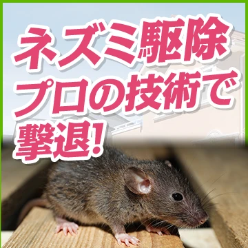 Rレスキューのイメージ画像