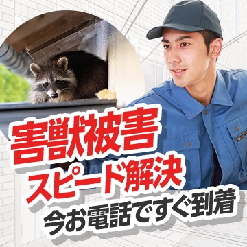 watch outのイメージ画像