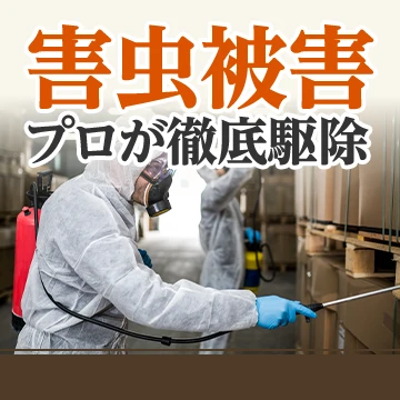 キズナのイメージ画像
