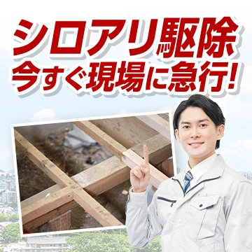 株式会社RSXのイメージ画像