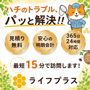 ライフプラスのイメージ画像
