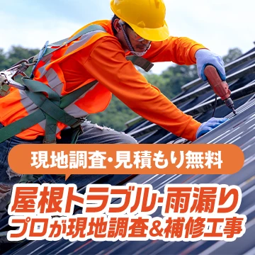 株式会社パキラのイメージ画像