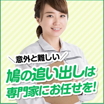 株式会社Solのイメージ画像