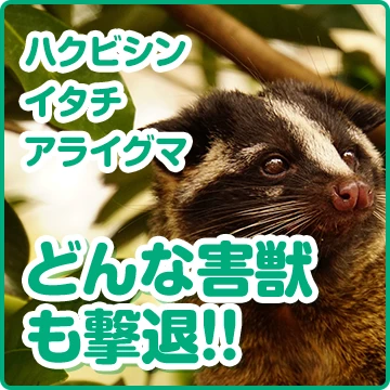 株式会社KYOH-SHINのイメージ画像