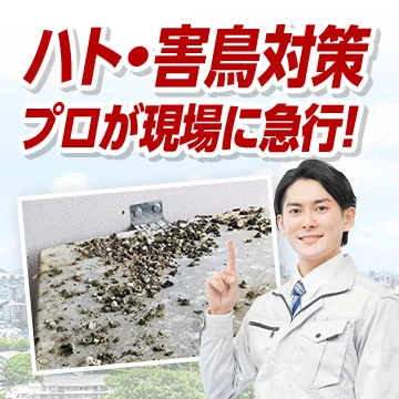 株式会社RSXのイメージ画像