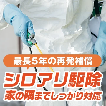 株式会社パキラのイメージ画像