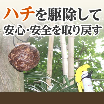 キズナのイメージ画像
